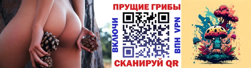 Псилоцибиновые грибы Psilocybine cubensis  ОМГ ОМГ ТОР  Пролетарск 